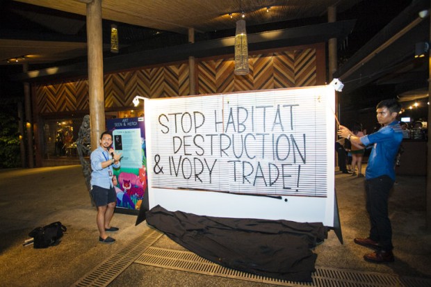 0123_Art Seen & Herd_low res