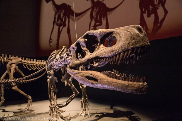 Dawn To The Extinction Herrerasaurus - AspirantSG