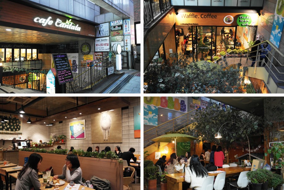 Thanks Nature Cafe Seoul Korea - AspirantSG