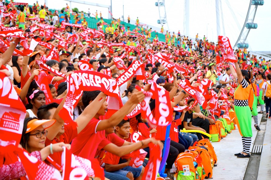 Crowd Going Wild At NDP Show 2014 - AspirantSG