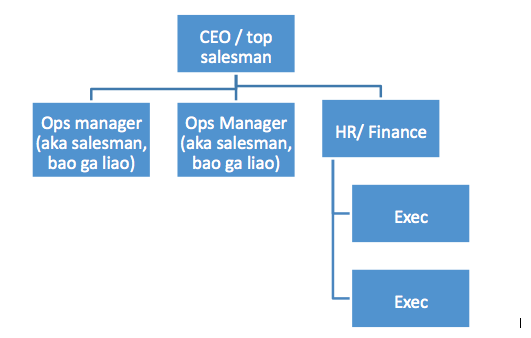 Typical Organisational Structure Of Security Agency