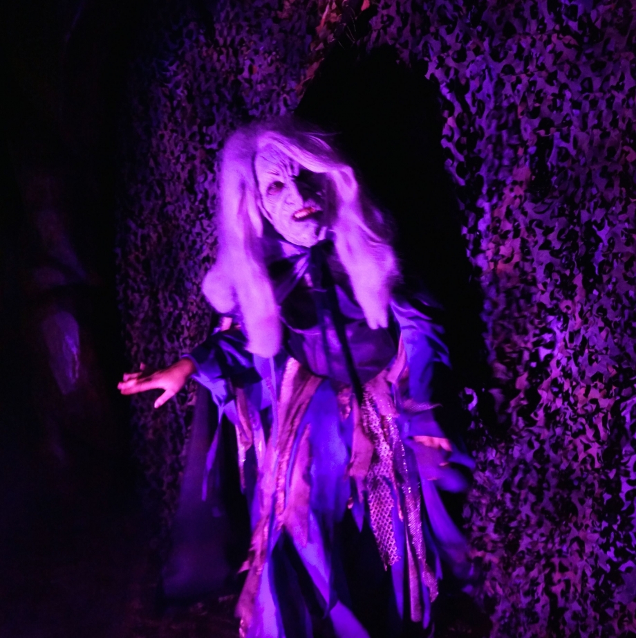 Witch Scary Tales Halloween Horror Nights 4 - AspirantSG