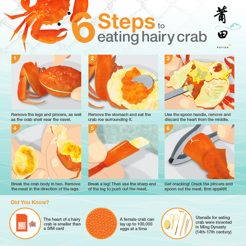 6 Steps To Eating Hairy Crab - AspirantSG