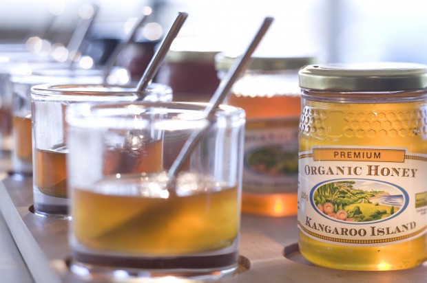 Island Beehive Organic Honey - AspirantSG