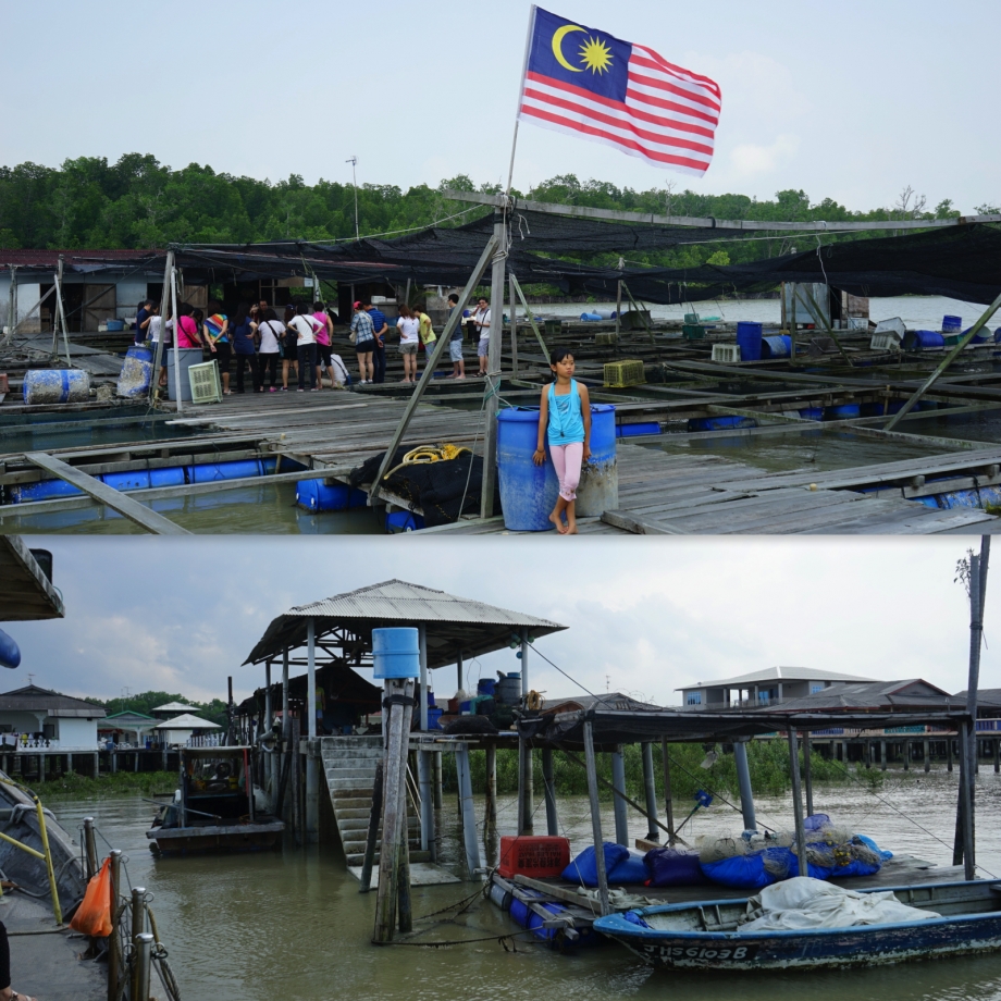 Boat Ride To Kukup Resort Bungalow