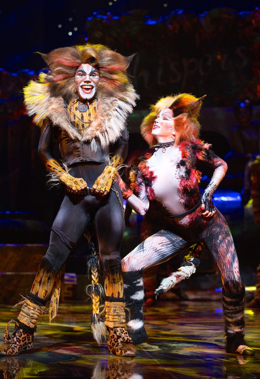 Cats On Screen Cats The Musical Cat Movie Cats Cast Jellicle Cats