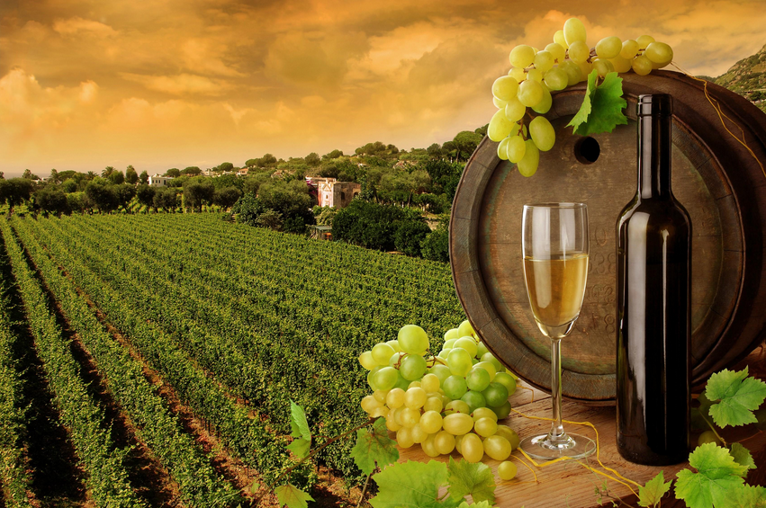 Tuscany Wine Tasting - AspirantSG