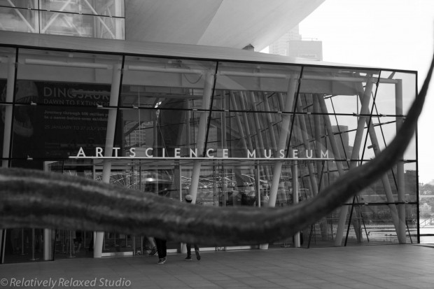 Dawn to extinction exhibition singapore Art Science Museum - AspirantSG