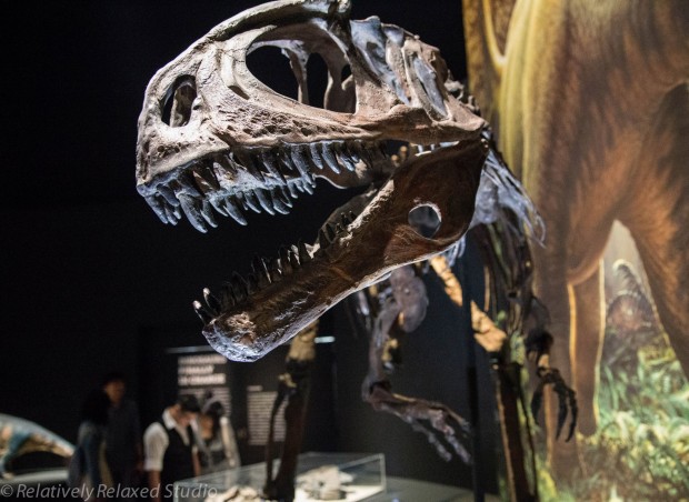 Dawn to extinction exhibition singapore Dino Head - AspirantSG