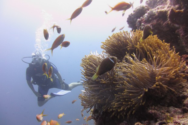 Deep Sea Diving Maldives - AspirantSG