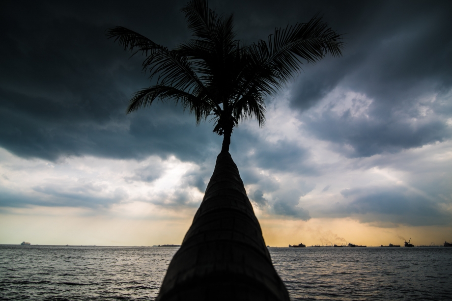 Shadow Of Coconut Tree On Sisters Islands Singapore - AspirantSG