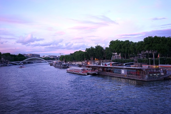 View Of La Senine Paris - AspirantSG