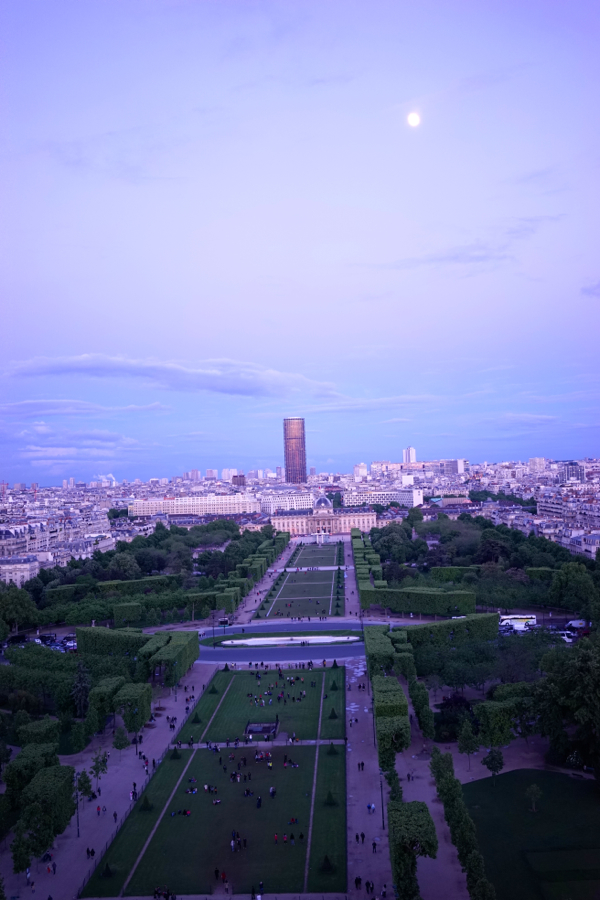 View From 1st Floor Eiffel Tower - AspirantSG