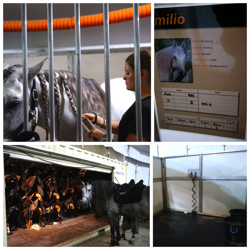 Cavalia Singapore Backstage - AspirantSG