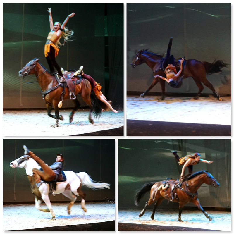 Cavalia Singapore Fantasia - AspirantSG