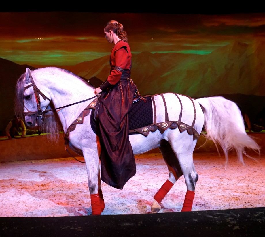 Pieds Percussions Cavalia Singapore - AspirantSG