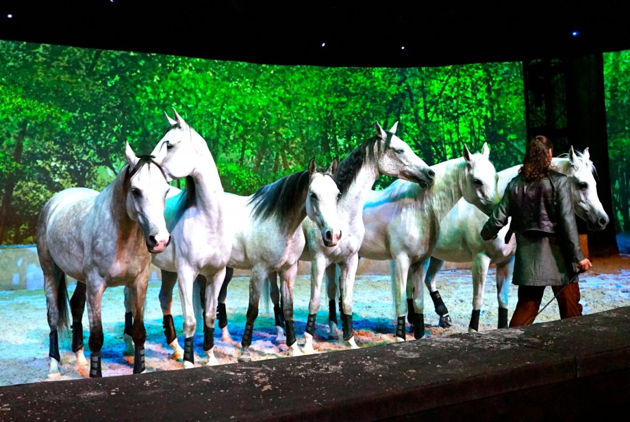 Encounter Cavalia Singapore - AspirantSG