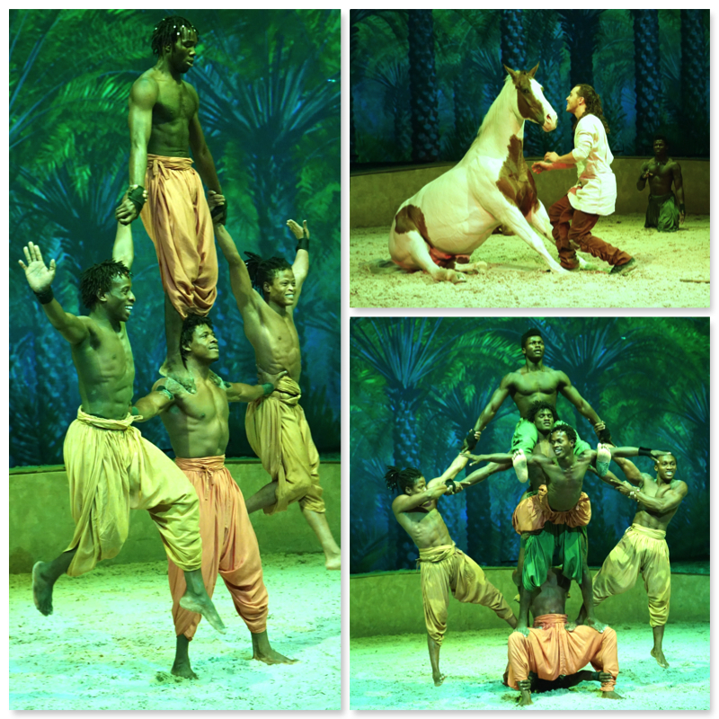 Guineans Cavalia Singapore - AspirantSG