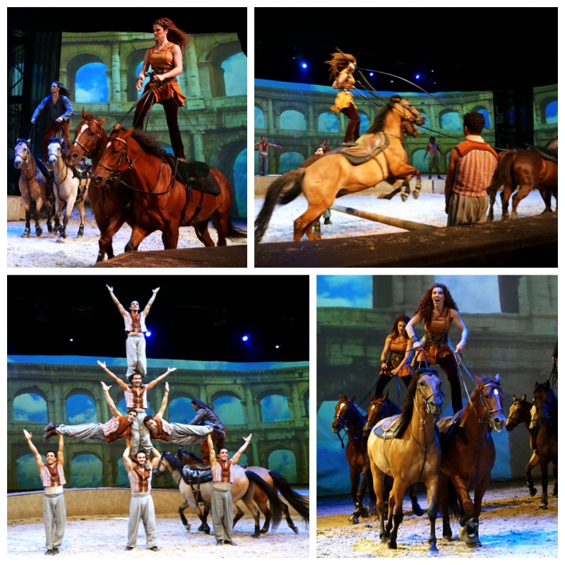 Roman Riding Cavalia Singapore - AspirantSG