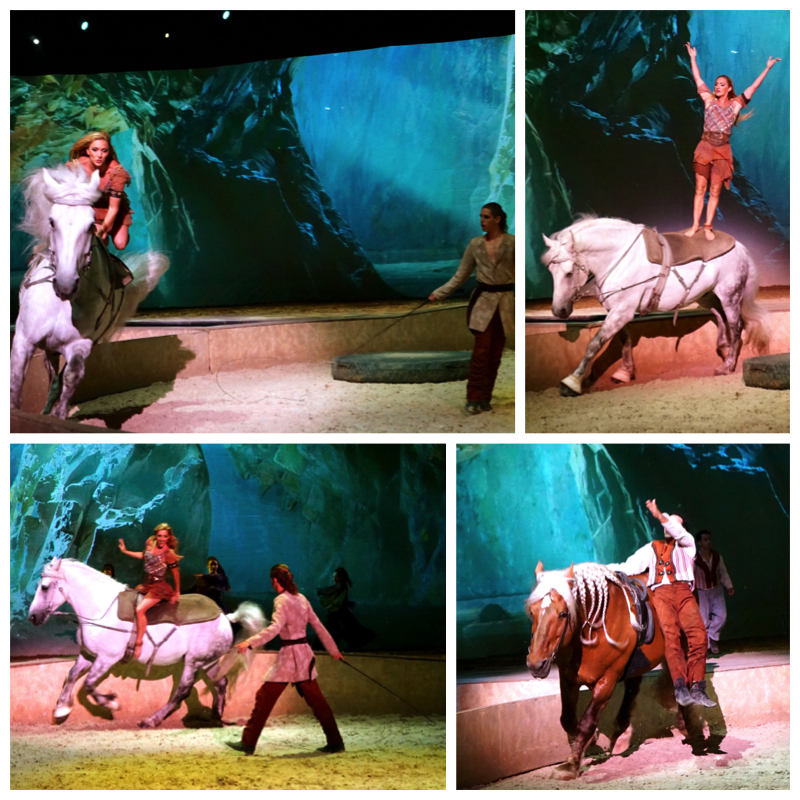 Voltige En Rond Cavalia Singapore - AspirantSG