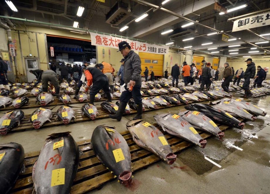 Tsukiji fish market Tokyo Japan - AspirantSG
