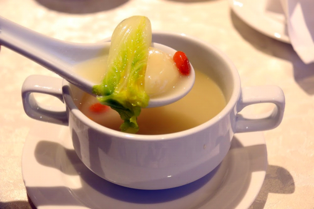 Double Boiled Cartilage Soup - AspirantSG