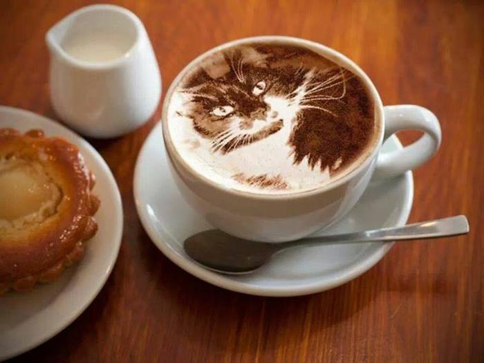 Fierce Cat Latte Art - AspirantSG