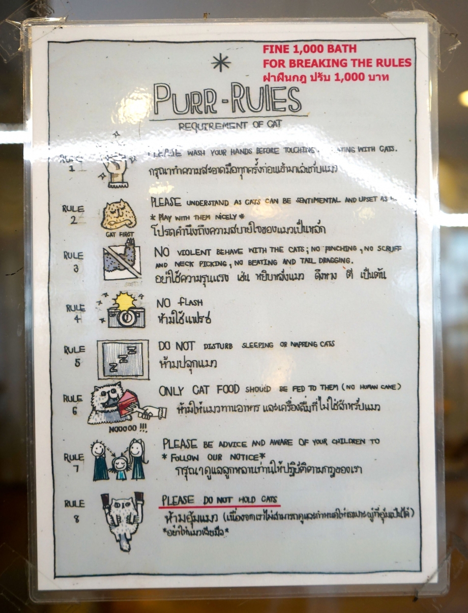 Rules at Purr Cat Cafe Club Bangkok Thailand - AspirantSG