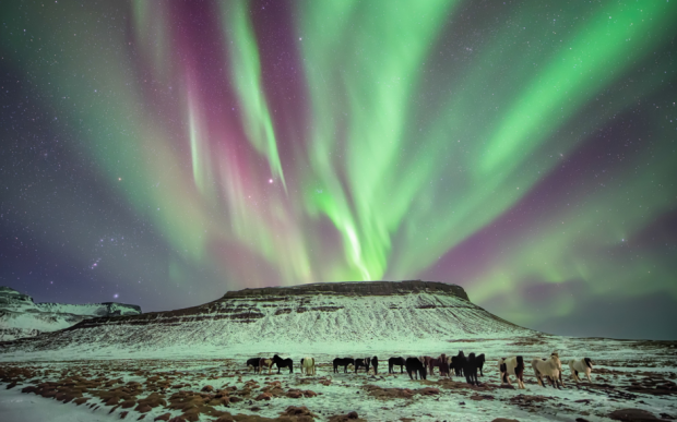 aurora borealis Northern Lights - AspirantSG