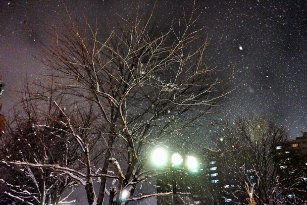 Snow At Sapporo Beer Garden - AspirantSG