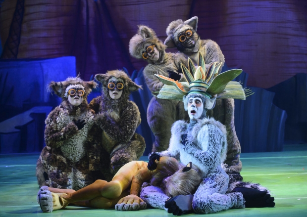 Alex The Lion Fainted In Madagascar Live! - AspirantSG