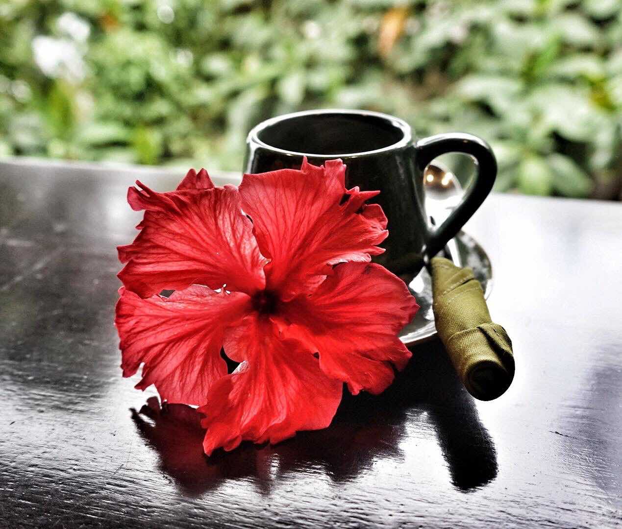 Coffee In Banyan Tree Resort Bintan - AspirantSG