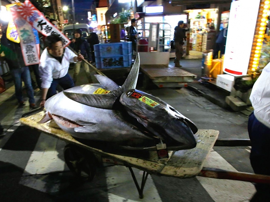 Tsukiji fish market in Tokyo - AspirantSG