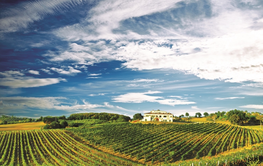 Stopover A Vineyard in Chianti, Tuscany - AspirantSG