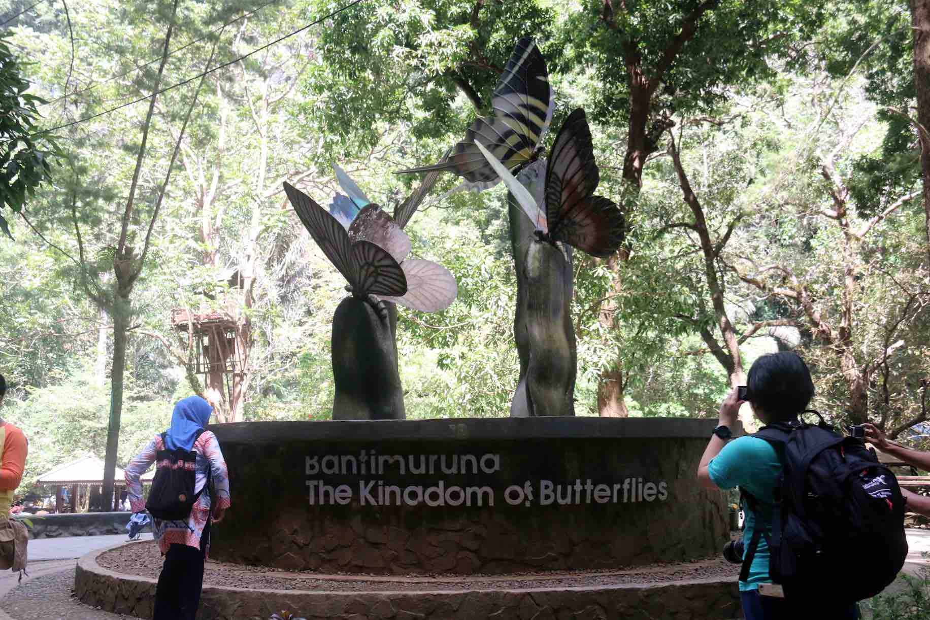 Kingdom Of Butterflies - AspirantSG