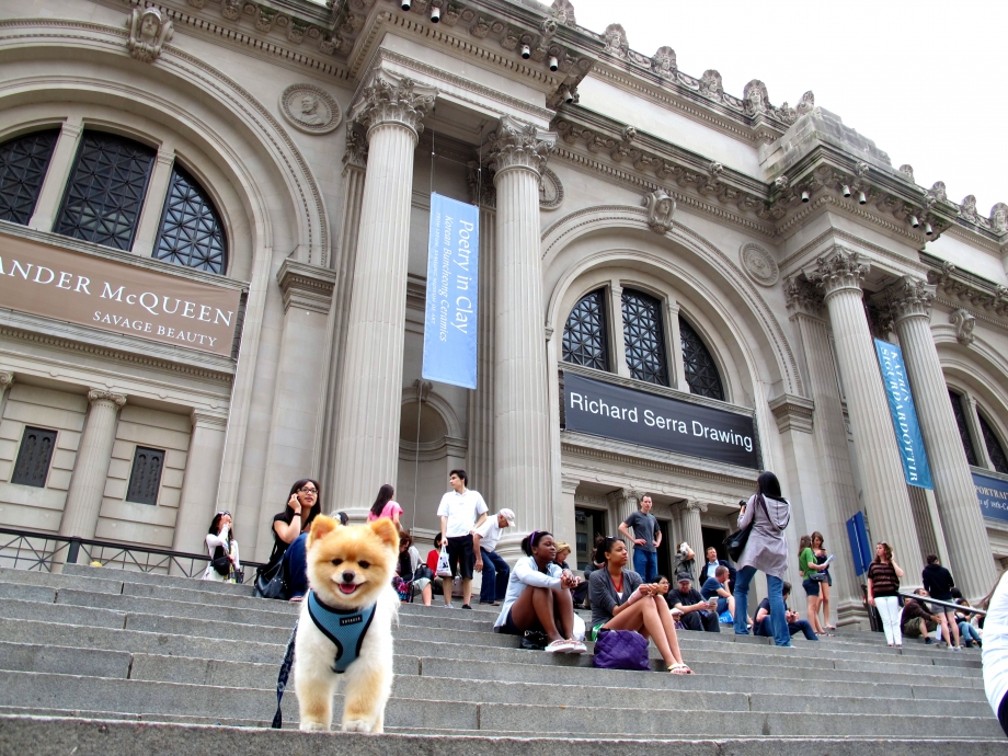 The Metropolitan Museum of Fine Art - AspirantSG