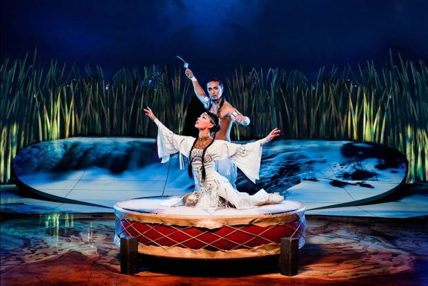 Roller Skates Cirque Du Soleil Totem Singapore - AspirantSG