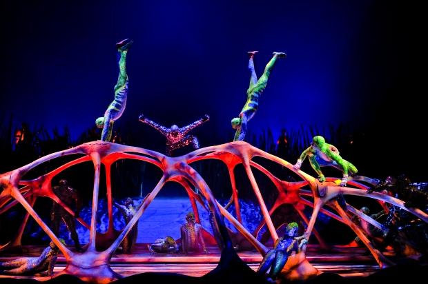 Carapace High Bar Cirque Du Soleil Totem Singapore - AspirantSG