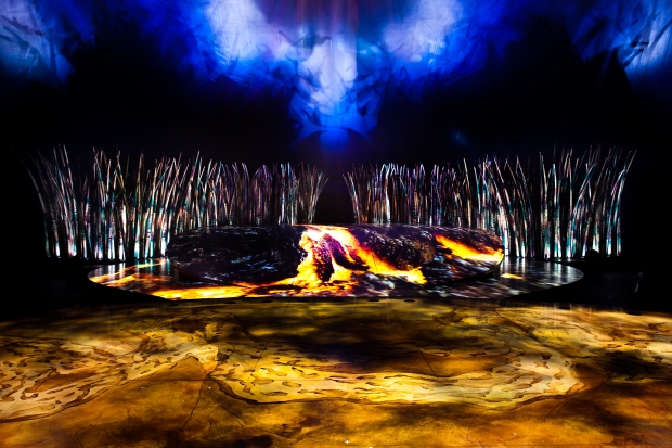 Cirque Du Soleil Stage Backdrop - AspirantSG