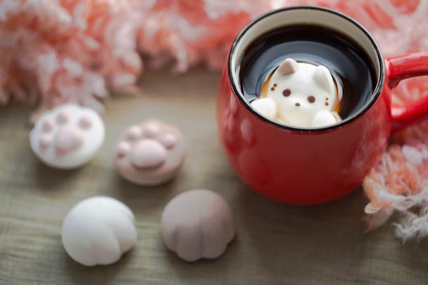 Peeking Cat Latte Art - AspirantSG
