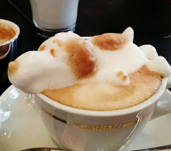 Snoopy Sleeping Latte Art - AspirantSG