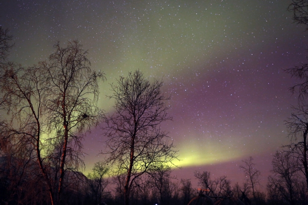 Grand Aurora - AspirantSG