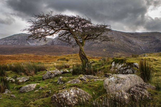 Connemara, Ireland - AspirantSG