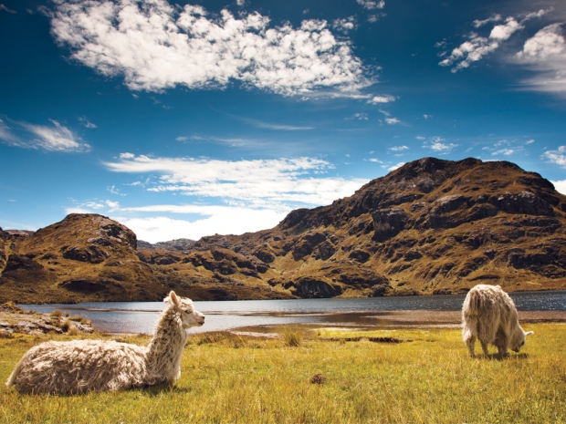 El Cajas National Park, Ecuador - AspirantSG