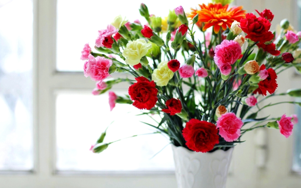 Carnations Bouquet For Valentine's Day - AspirantSG