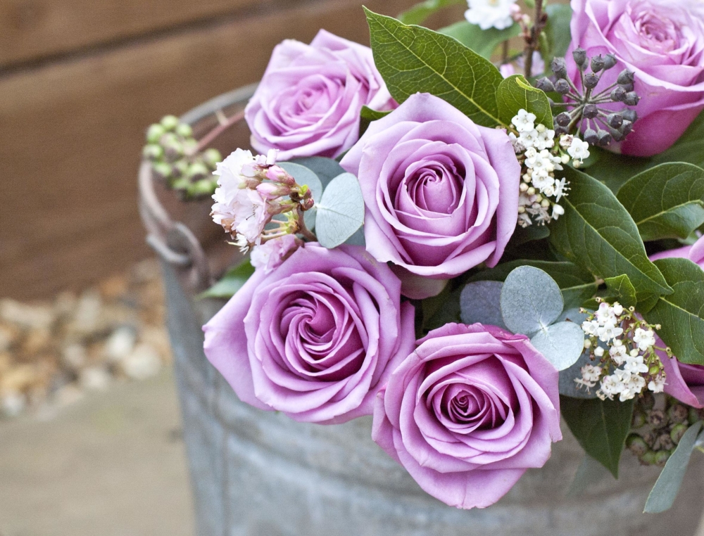 Lavender Roses for Valentine's Day - AspirantSG