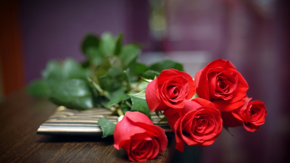 Red Roses for Valentine's Day - AspirantSG