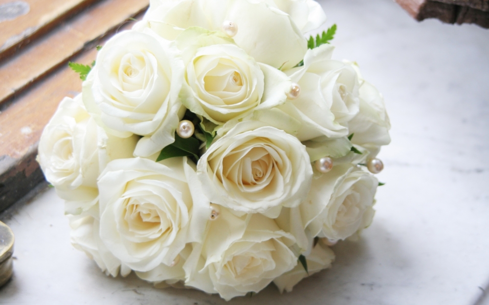 White Roses for Valentine's Day - AspirantSG