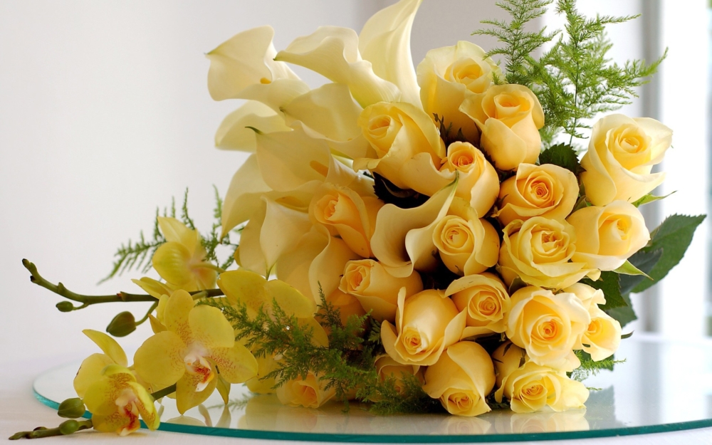 Yellow Roses for Valentine's Day - AspirantSG