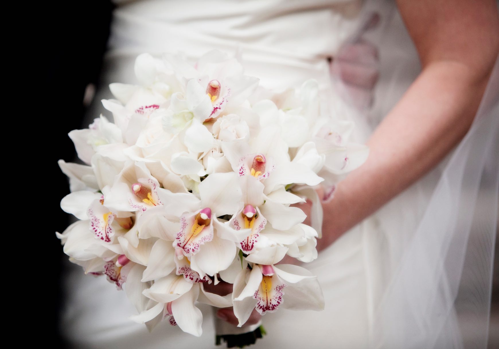 Cymbidium Orchid Wedding Flowers - AspirantSG